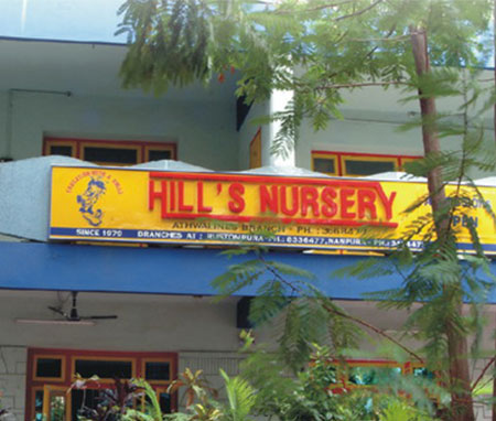 Hills Nursery (Athwalines)